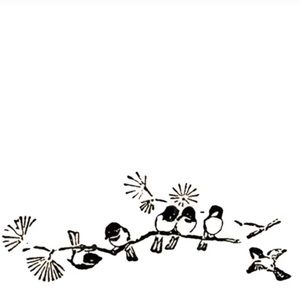 Meet your Posher, Shae